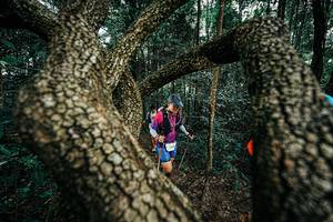 BIB: 
                            <button type="button" onclick="openModal(25394158)" class="btn btn-primary btn-sm float-right btn-popup" data-toggle="modal" data-target=".modal-high-quality">
                        <i class="fas fa-shopping-cart"></i> Add to Cart
                    </button>
                                            <button type="button" onclick="isThisMe(25394158, true)" class="btn btn-success btn-sm float-right btn-popup btn-isme hidden" data-toggle="tooltip" data-placement="bottom" title="นี่คือรูปของคุณใช่ไหม คลิกที่นี่เพื่อเอาเข้าอัลบั้ม">
                        <i class="fas fa-plus"></i> Add to album
                    </button>
                    <button type="button" onclick="isThisMe(25394158, false)" class="btn btn-warning btn-sm float-right btn-popup btn-isnotme hidden">
                        <i class="fas fa-ban"></i> Remove from album
                    </button>